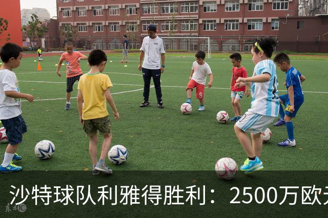 沙特球队利雅得胜利：2500万欧元转会费如何改变足球格局？