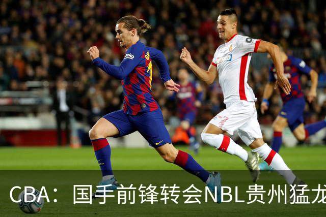 CBA：国手前锋转会NBL贵州猛龙，王少杰前往江苏男篮，吉林大将签约宁波，胡金秋预计留队